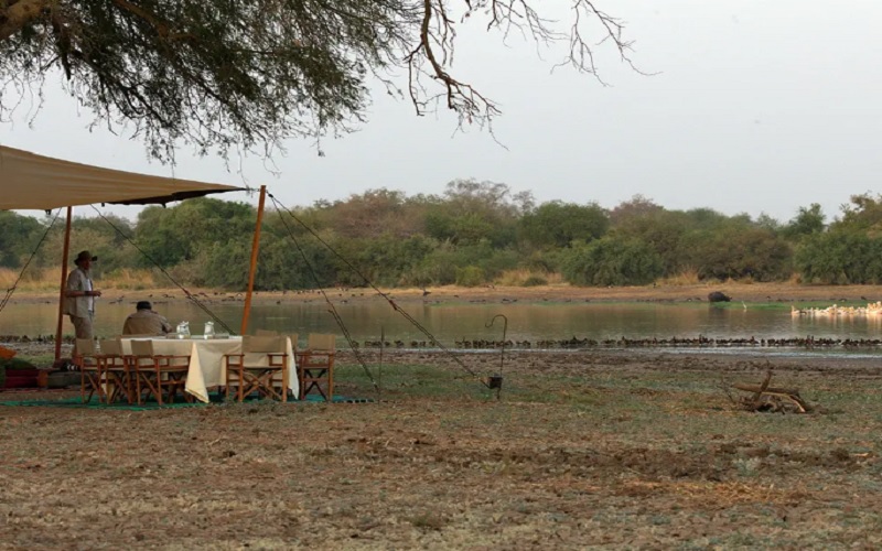 Zakouma Expedition Safari Chad